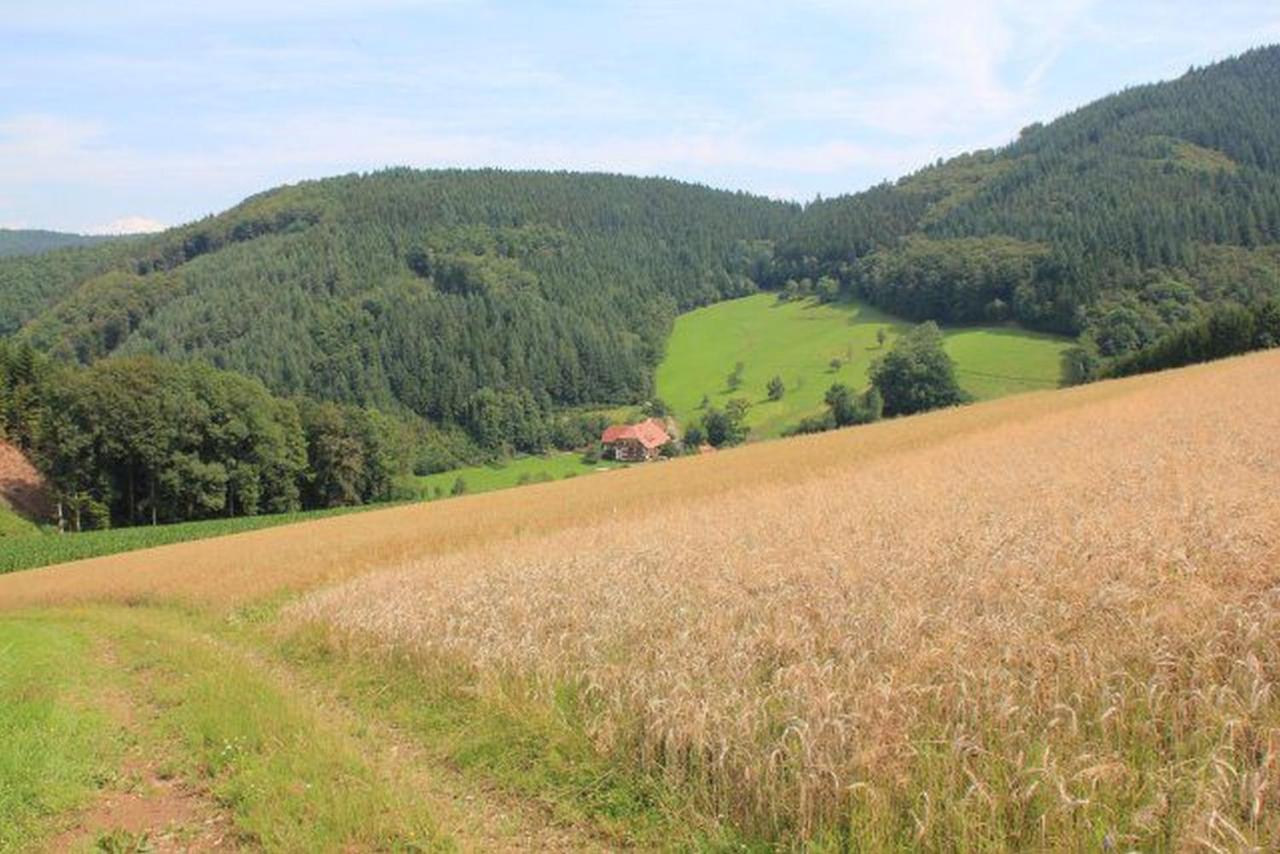 뮬렌바하 Geigerbauernhof 아파트 외부 사진